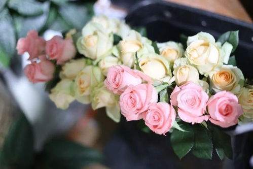 世园聚焦 第二季度消费新趋势，高端花束、绿植与家庭园艺热度不减，礼品花卉销售表现亮眼