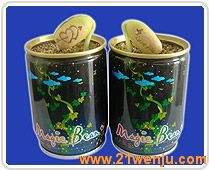 09年礼品花卉销售 金融危机下的创业投资好项目