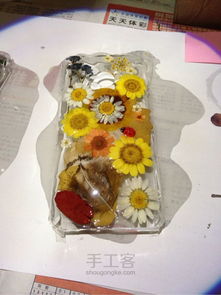 巧手焕新机 鲜花树叶DIY手机壳教程，附赠春日好礼花卉选购指南