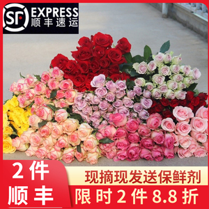 香水百合 高雅芬芳的礼品花卉首选