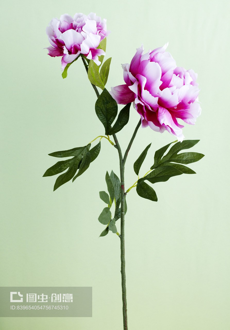 独枝独秀 仿真花插花的简约之美与礼品花卉的艺术销售