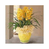 礼物分类与礼品花卉销售指南